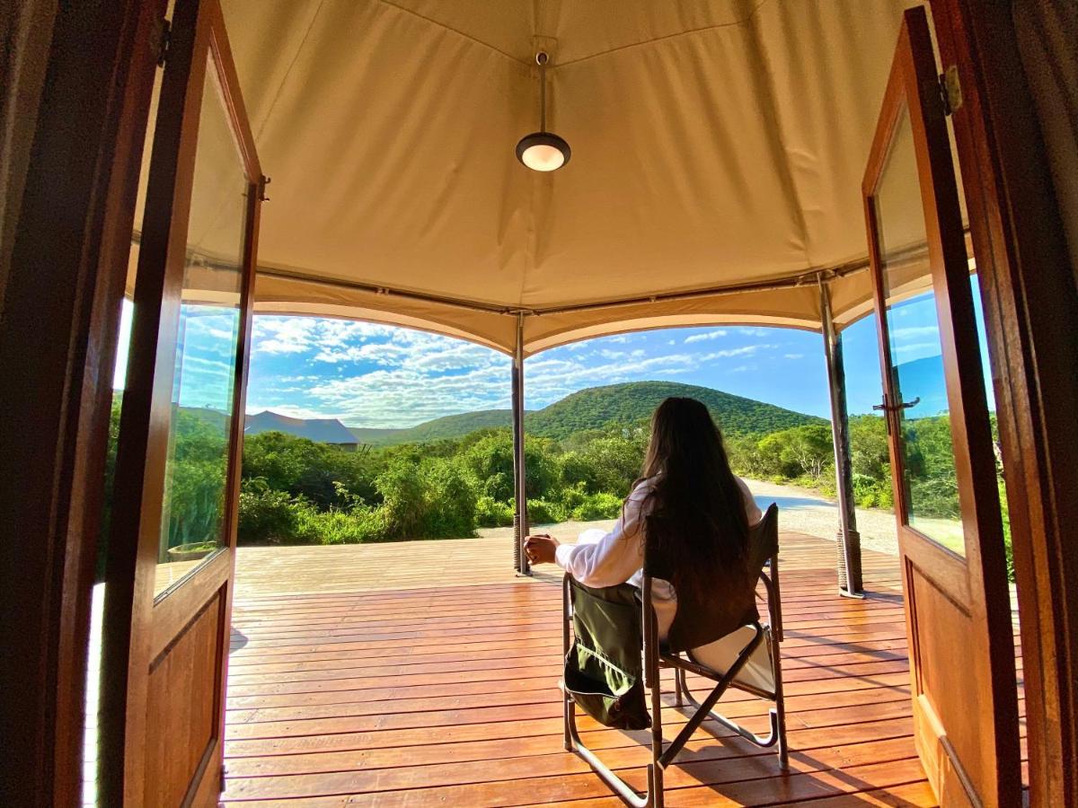 Parkview Safari Lodge كولشستر المظهر الخارجي الصورة