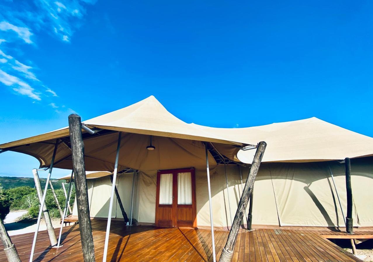 Parkview Safari Lodge كولشستر المظهر الخارجي الصورة