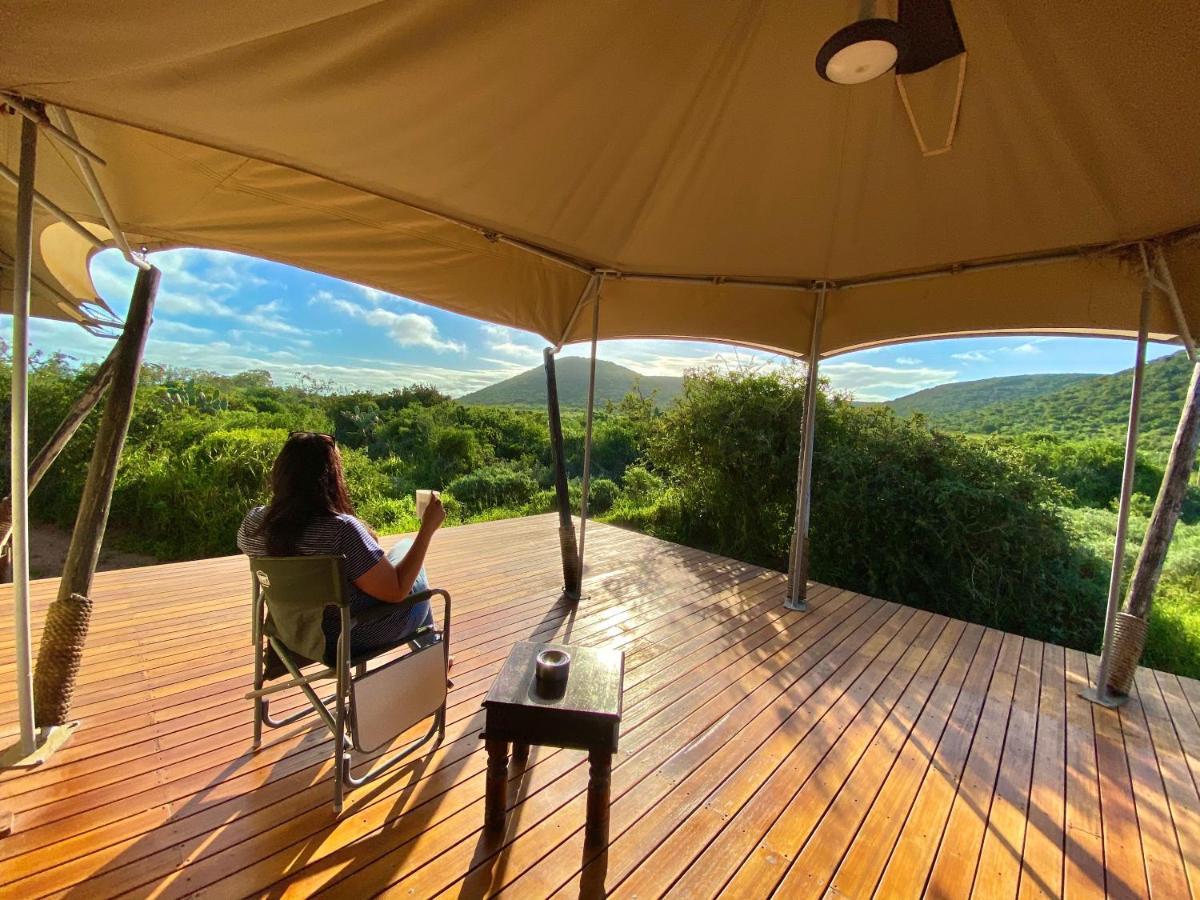 Parkview Safari Lodge كولشستر المظهر الخارجي الصورة