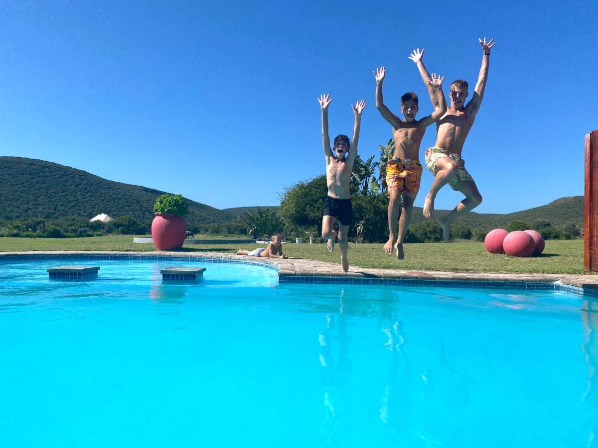 Parkview Safari Lodge كولشستر المظهر الخارجي الصورة
