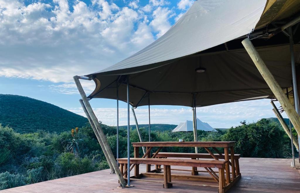 Parkview Safari Lodge كولشستر المظهر الخارجي الصورة