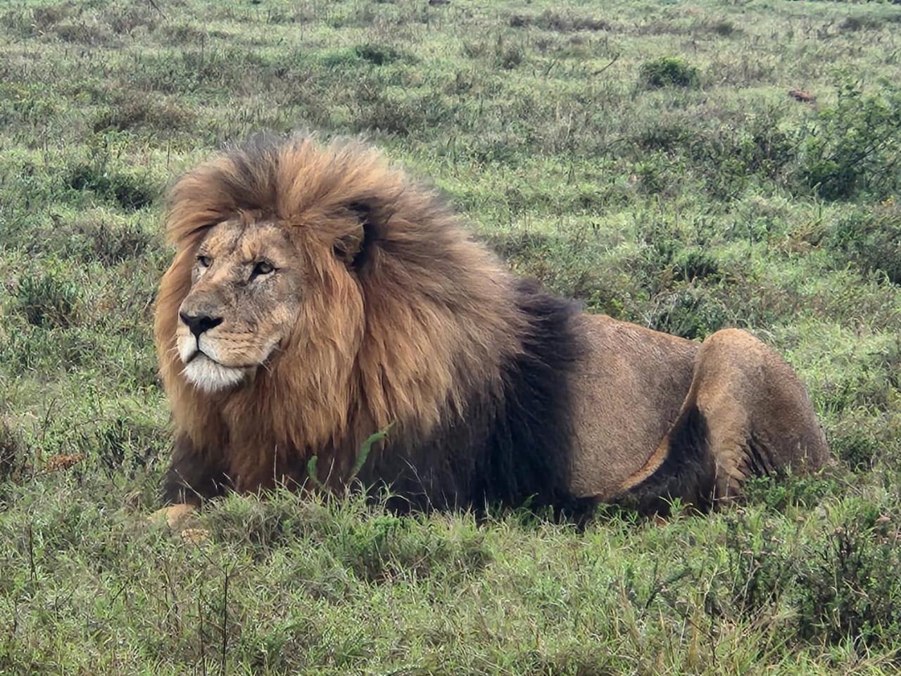 Parkview Safari Lodge كولشستر المظهر الخارجي الصورة