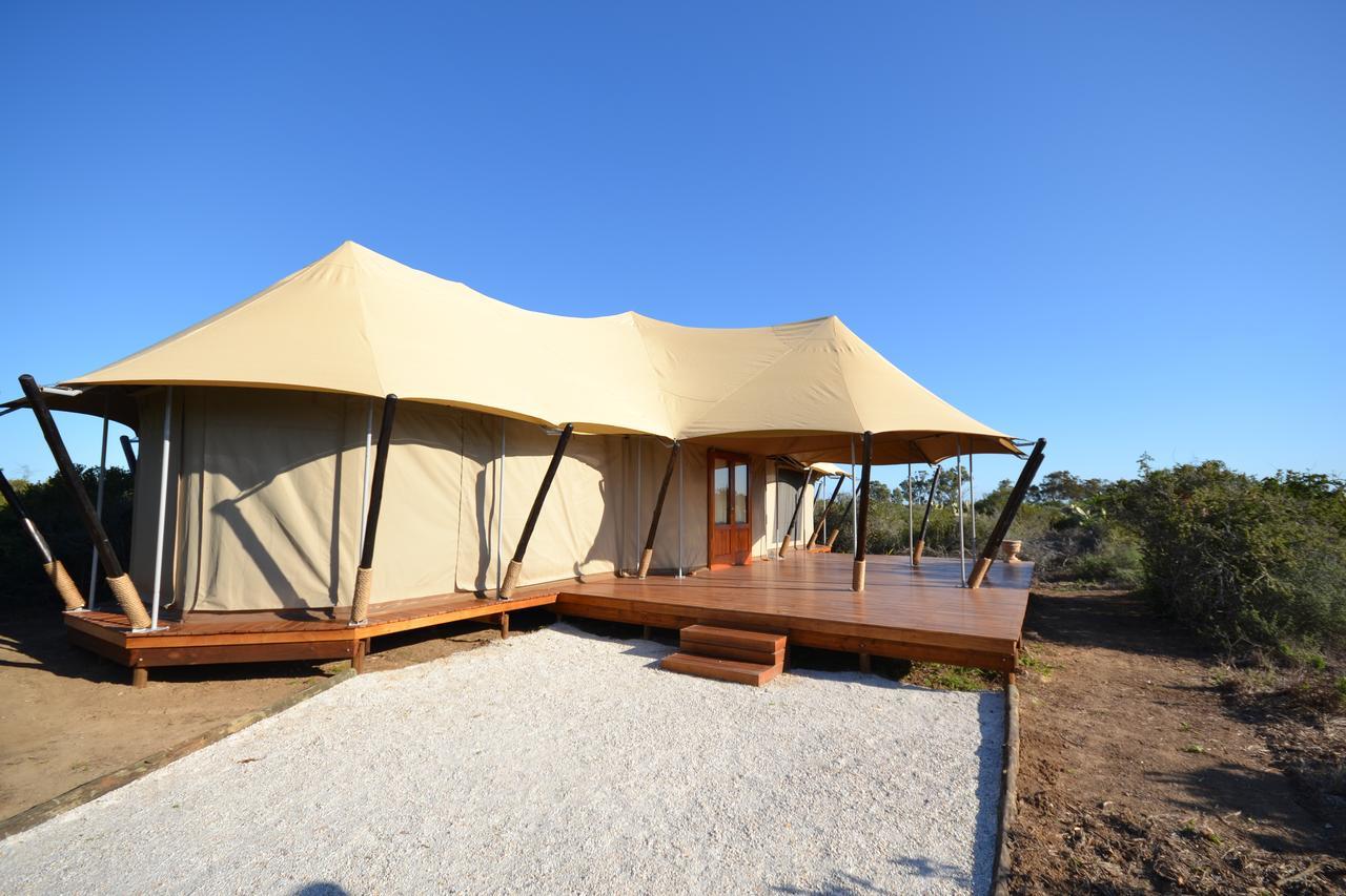 Parkview Safari Lodge كولشستر المظهر الخارجي الصورة