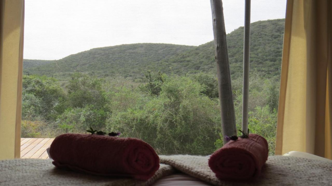 Parkview Safari Lodge كولشستر المظهر الخارجي الصورة