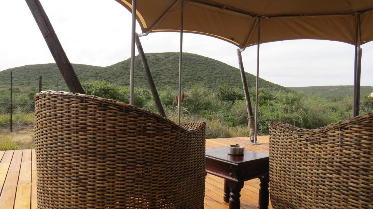 Parkview Safari Lodge كولشستر المظهر الخارجي الصورة