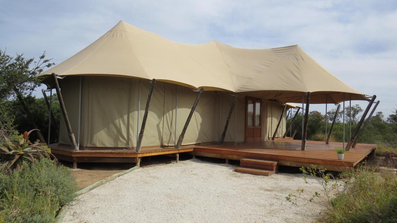 Parkview Safari Lodge كولشستر المظهر الخارجي الصورة