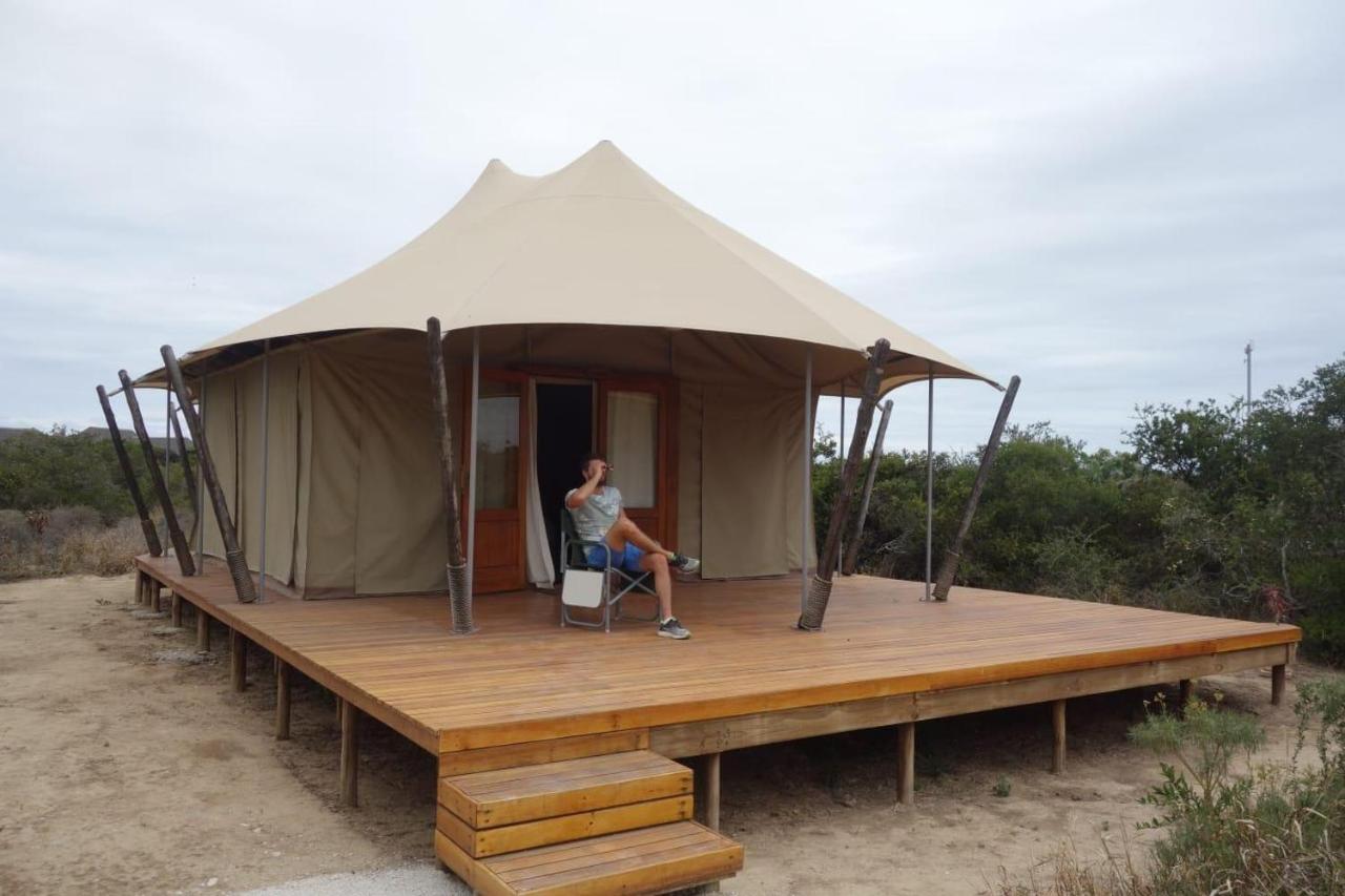 Parkview Safari Lodge كولشستر المظهر الخارجي الصورة